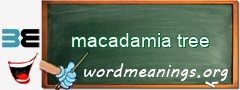 WordMeaning blackboard for macadamia tree